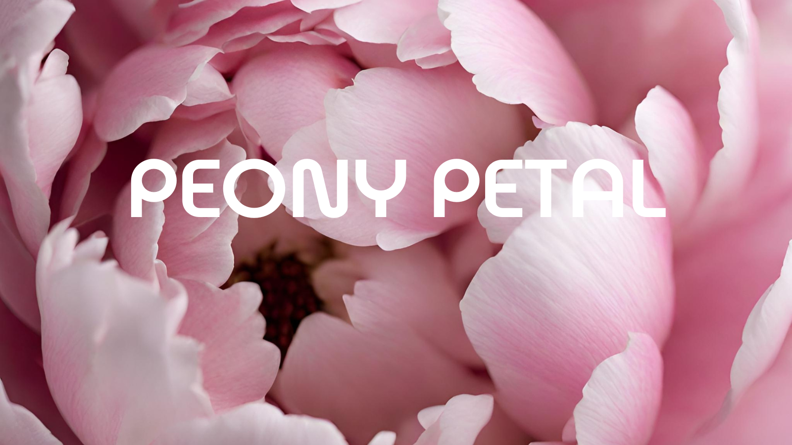 PEONY PETAL