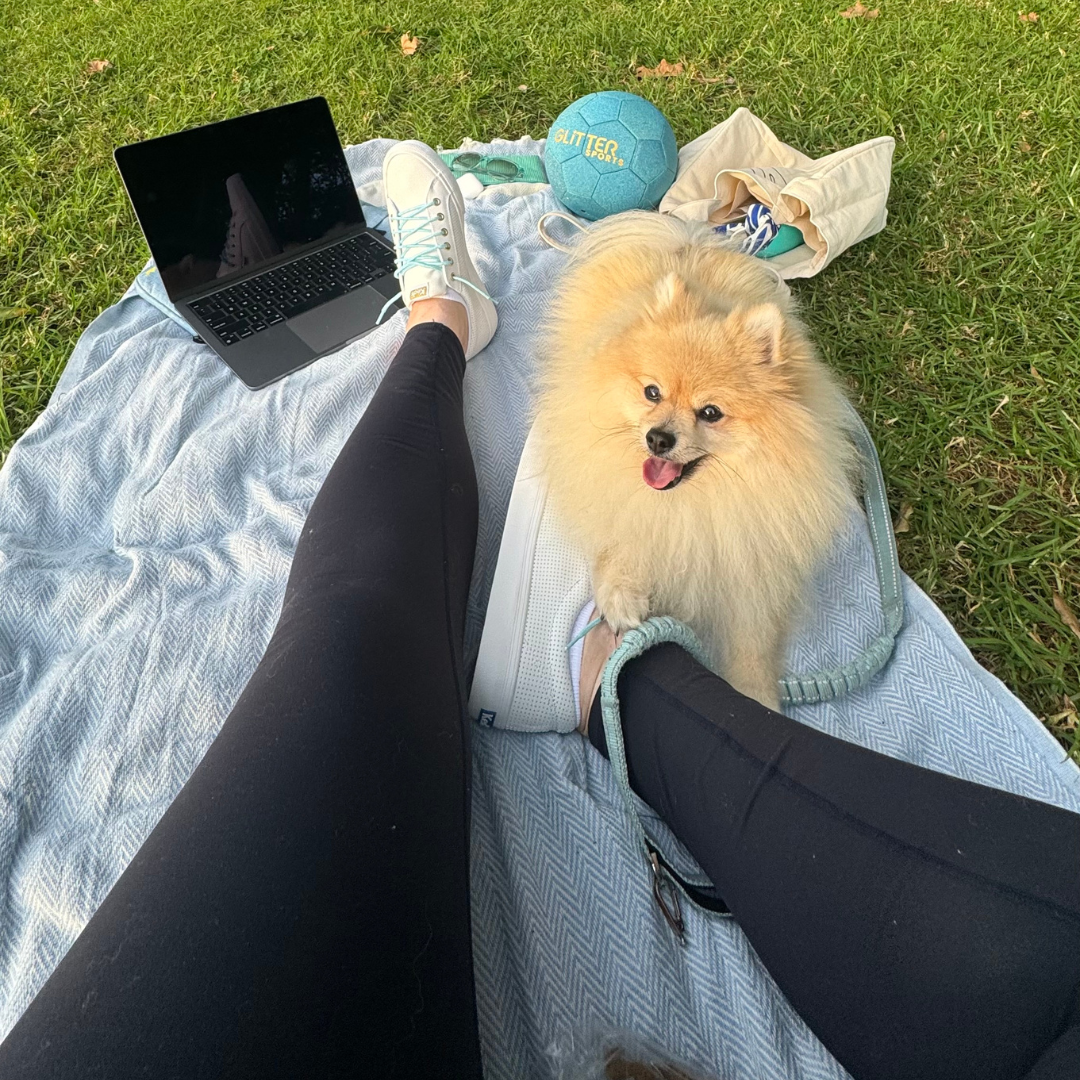 Outdoor lifestyle shot of blue Turkish towel on green grass. Legs of person sitting on towel visible wearing black tights, white keds sneakers with blue shoelaces. Also in shot Apple MacBook Pro, beige Pomeranian with paw on persons leg, blue glitter soccer ball and canvas tote bag.